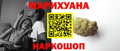 прущие крисы Можга