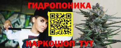 гидра Можайск