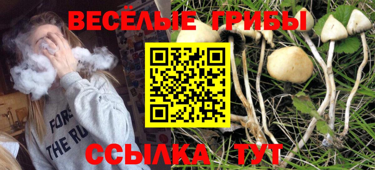Уссурийск  что такое наркотик  Вход с VPN  Псилоцибиновые грибы Psilocybe 